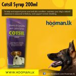 Cotsil Syrup 200ml