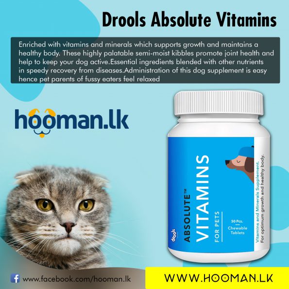 Drools Absolute Vitamins