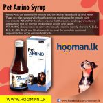 Pet Amino Syrup