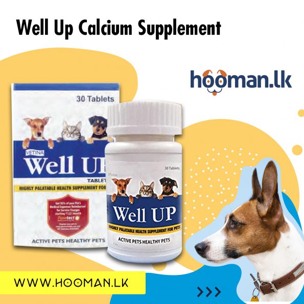 Well Up Calcium Supplement
