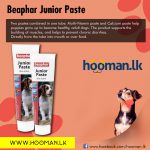 beaphar Junior Paste